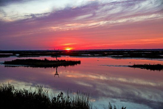 Edwin B. Forsythe National Wildlife Refuge